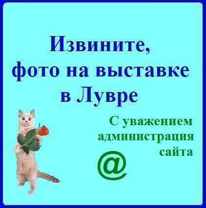 Кульпан Аркаева