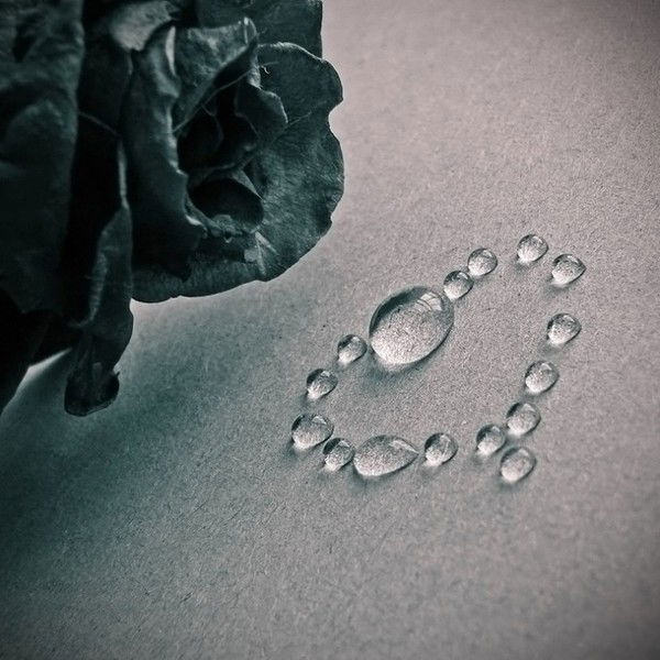 Татьяна Алешкина