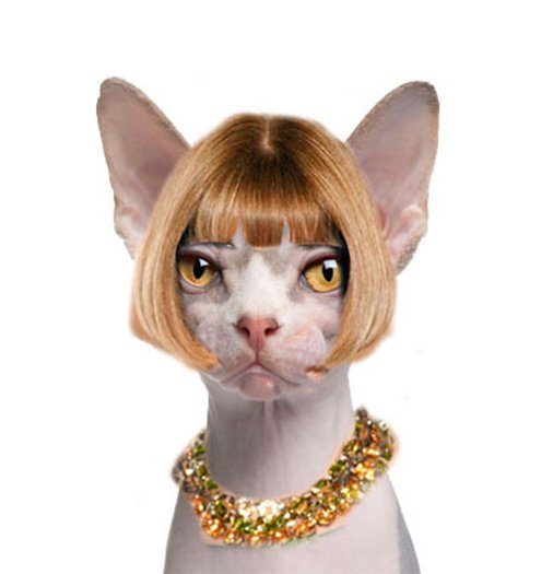 Оксана Колесникова