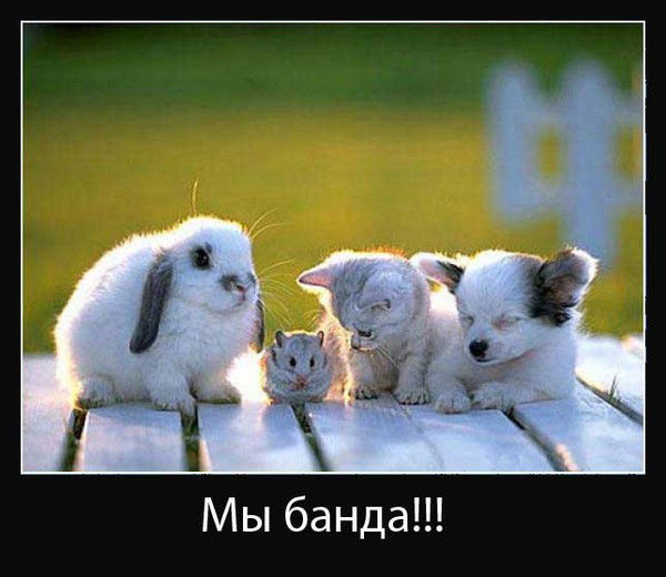 Арман Болекбаев