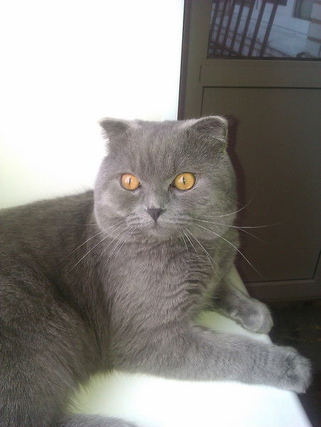 Алла Ивановна