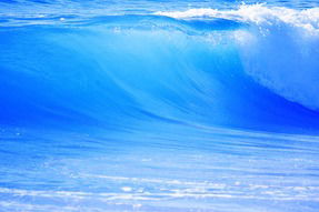 Светлана Ермошина