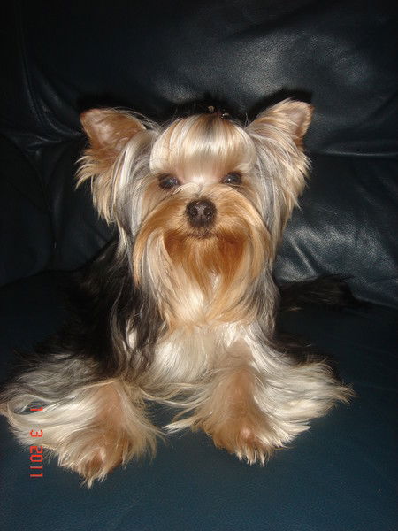 Эльвира Гарайшина