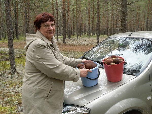 Алефтина Прохорова