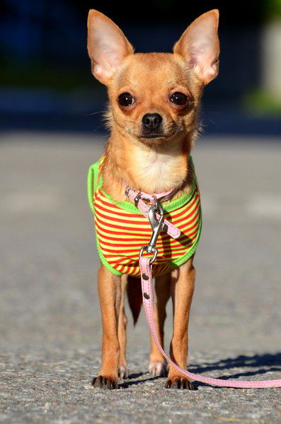 Сергей Азарьев