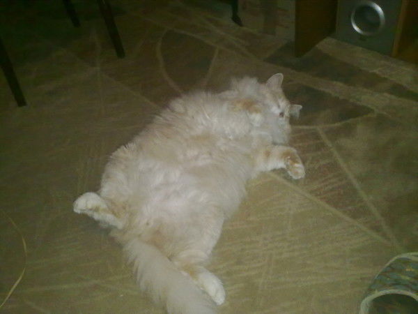 Иван Дядилин