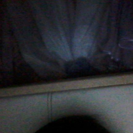 Дейшен Изольдовна