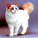 Марина Василенко