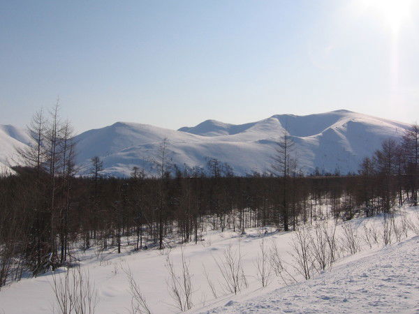 Анжелика Кутина