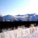 Анжелика Кутина
