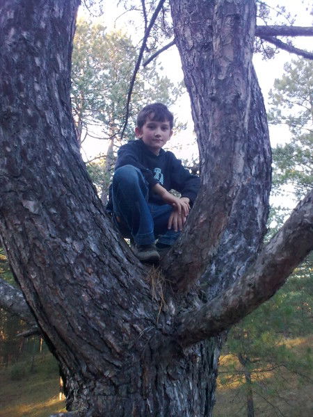 Влад Пуляев