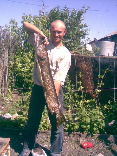 Максим Осипов