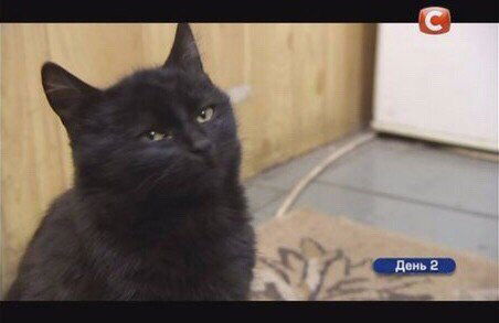 Александра Сатановская