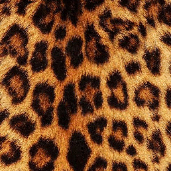 Алена Кадникова