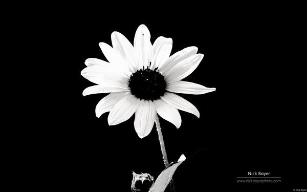 Татяна Тарковськая