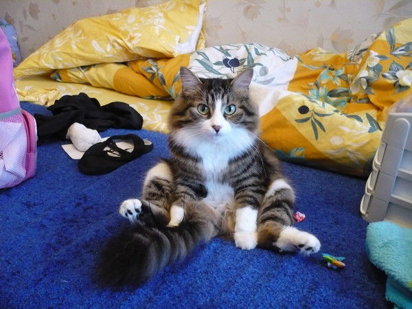 Михаил Пашнин