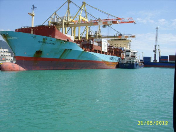 Елена Мельникова