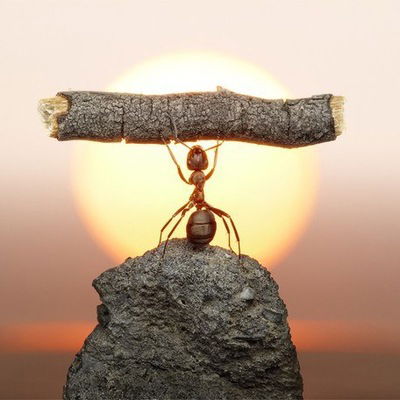 Артём Музыкантов