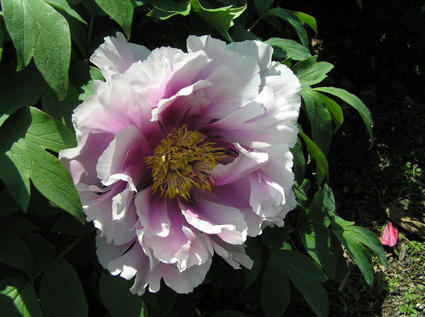 Инна Логунова