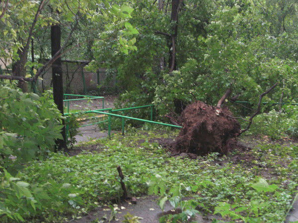 Анна Ветрова