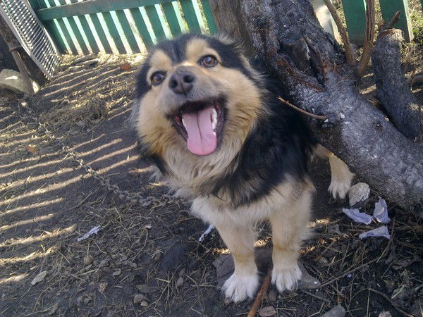 Ольга Пихлецкая