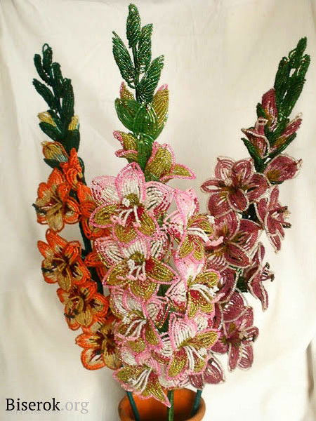 Шамай Далгатова