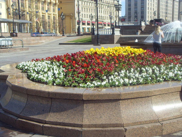 Любовь Прокопенко