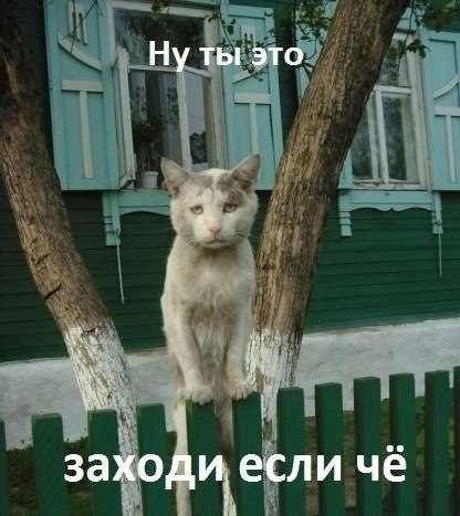 Илья Белобородов