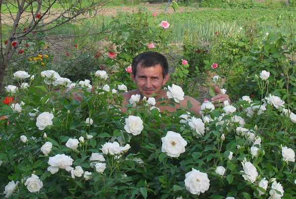 Татьяна Волкострел