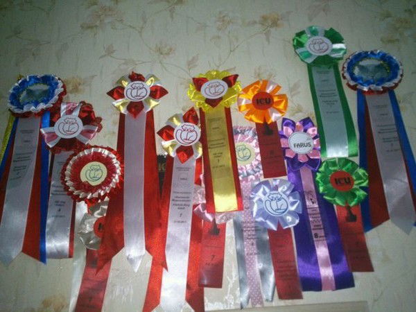 Елизавета Матренина