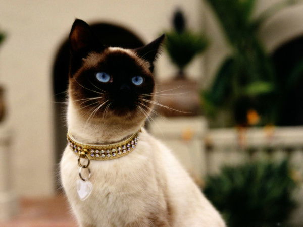 Анастасия Дементьева