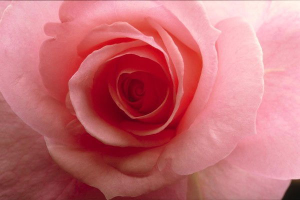 Ильнара Нургалиева