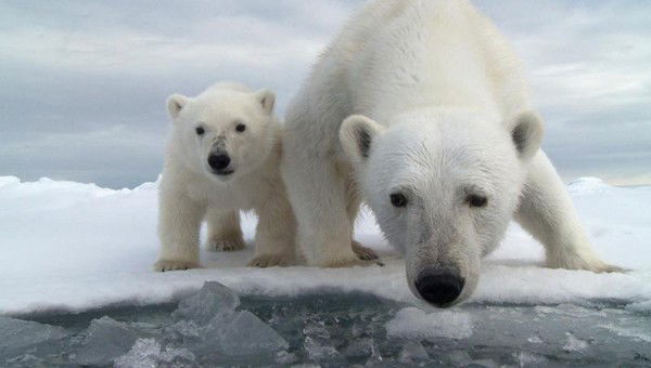 Мешайкина Людмила