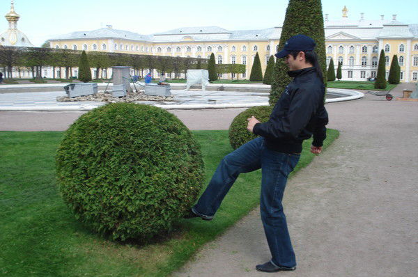 Никола Георгиев