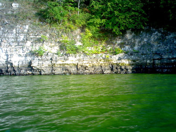 Александр Маловичко