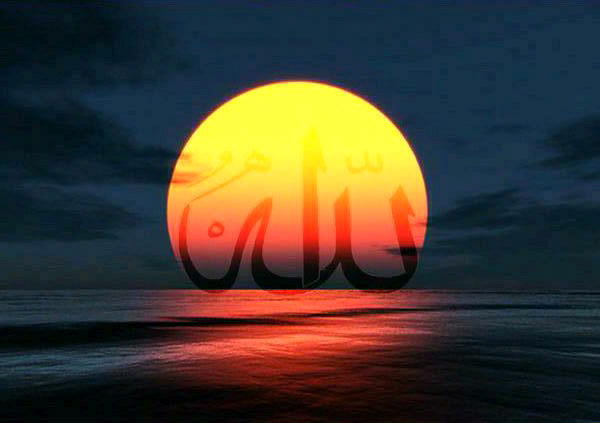 Али Магомедов