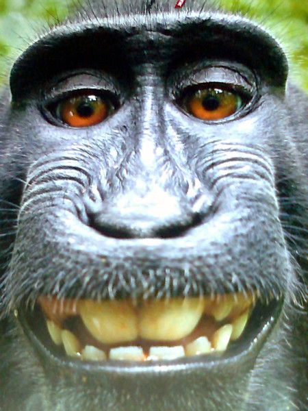 Евгений Антошкин