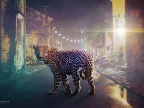 Кмбат Абдрашева