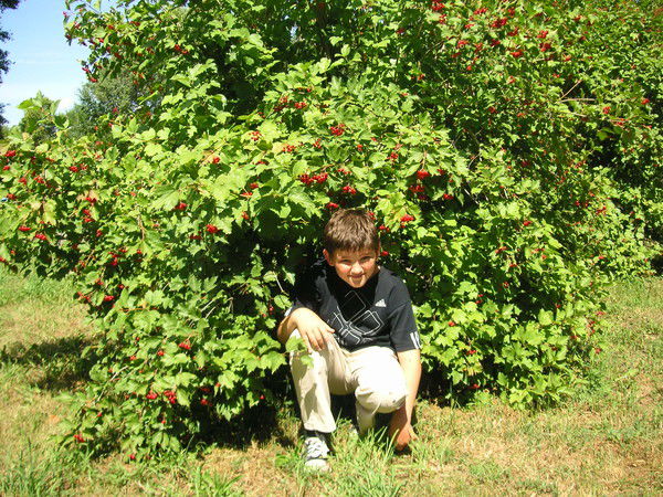 Илья Ефимов