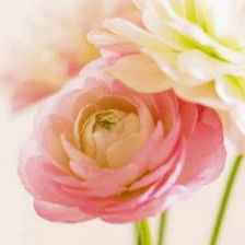 Марина Острикова