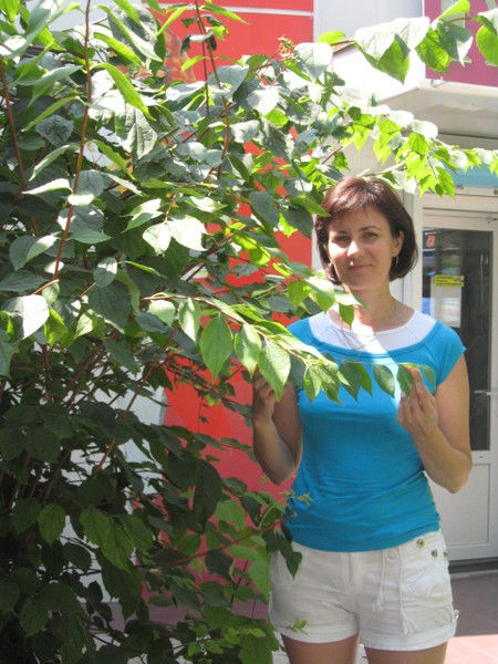 Наталья Шубовская