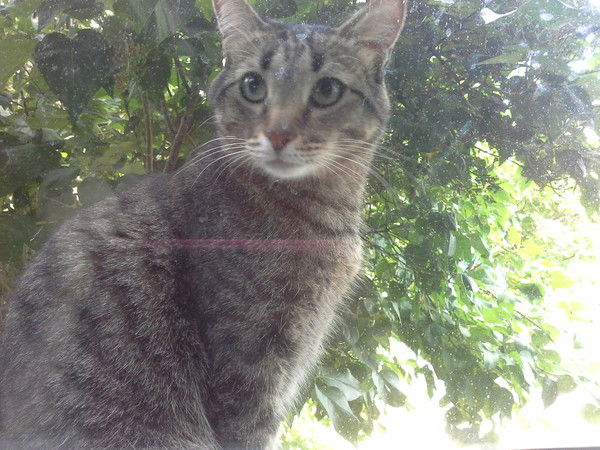 Евгений Проскуряков