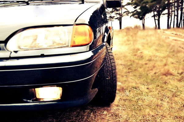 Ваня Посевин