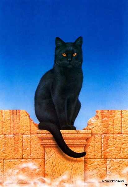 Диана Стифутина