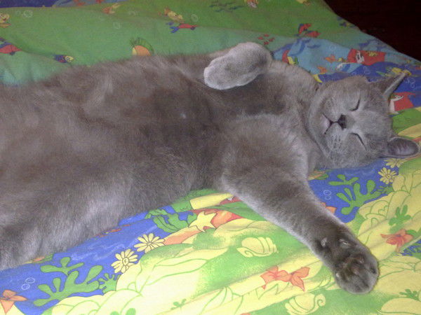 Екатерина Кожемякина