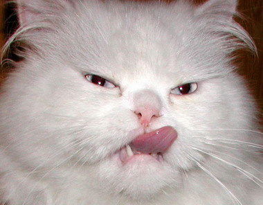 Савелий Савельев