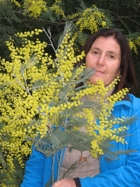 Елена Соловьёва