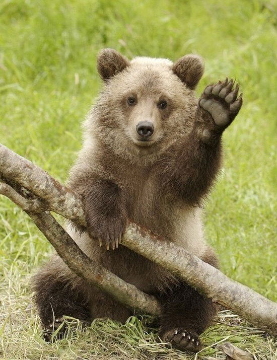 Виталий Жолобов