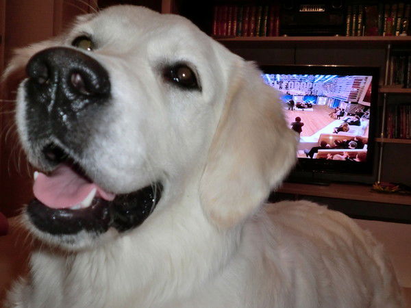 Максим Кулаков