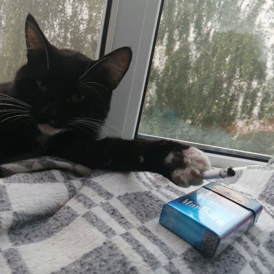 Андрей Вишняков